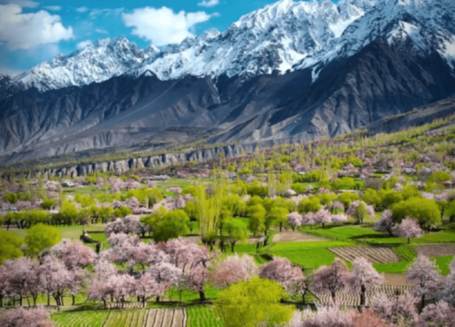 Skardu vs Hunza: Which is Better for Travel to North Pakistan?