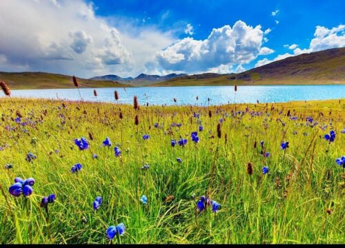 Skardu Hunza Deosai Minimarg-Dumail & Astore Tour Package