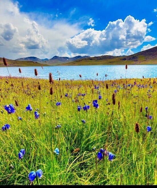 Skardu Hunza Deosai Minimarg-Dumail & Astore Tour Package