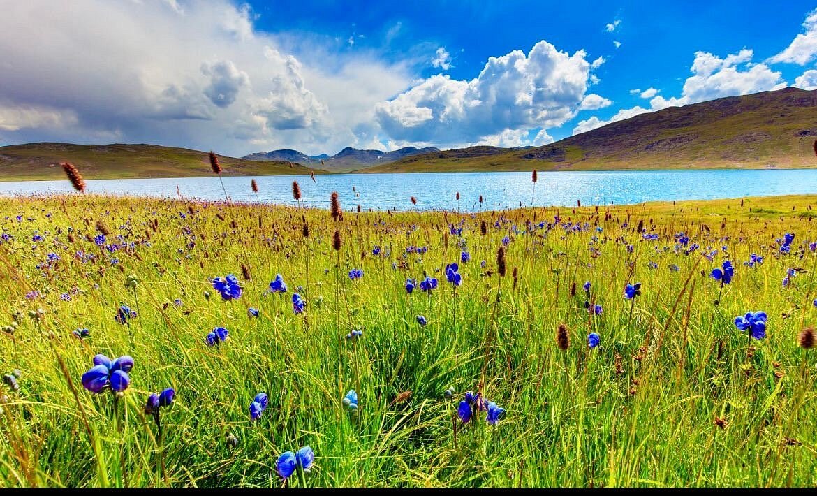 Deosai Skardu Astore