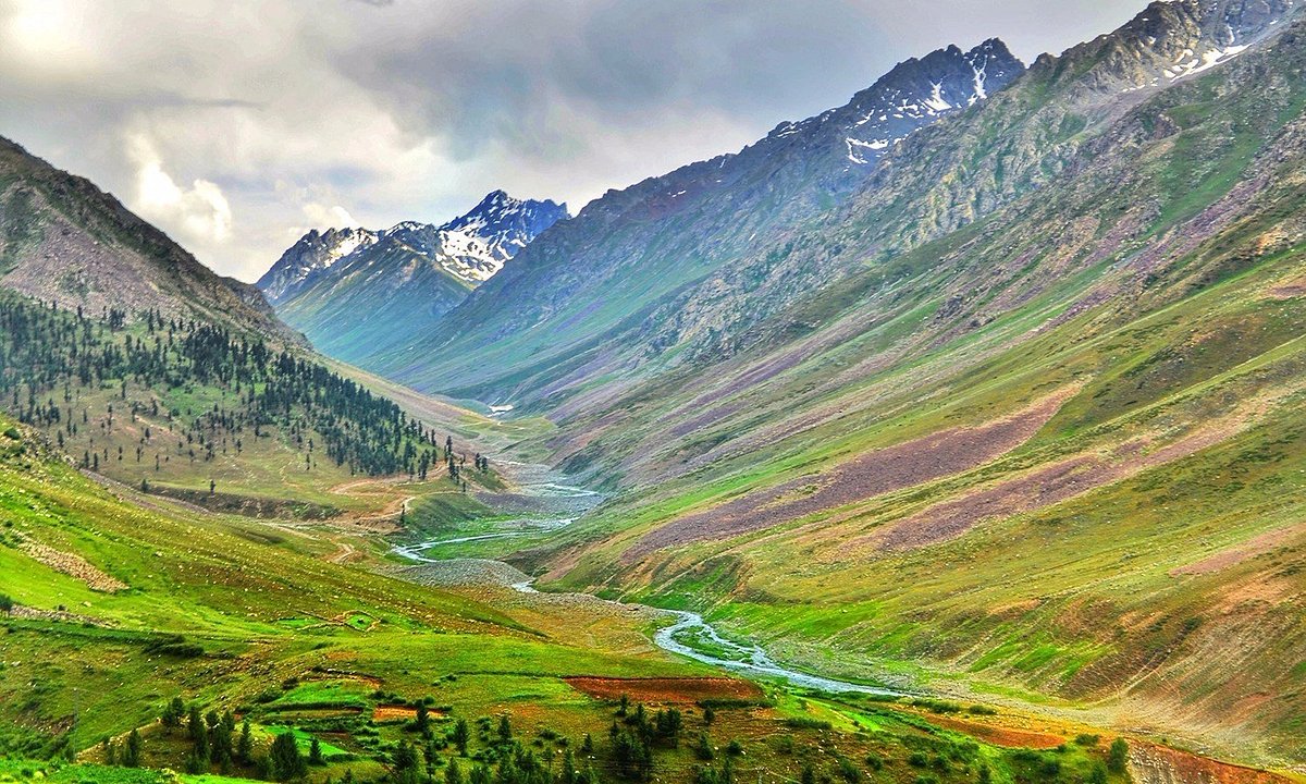 Rama Meadows Astore Valley Gilgit Baltistan